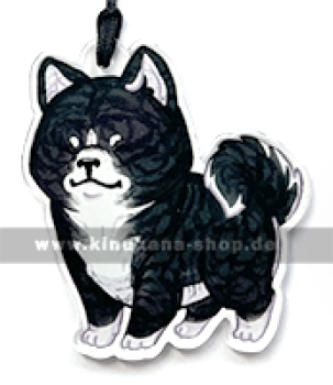 Akita (Kurotora)